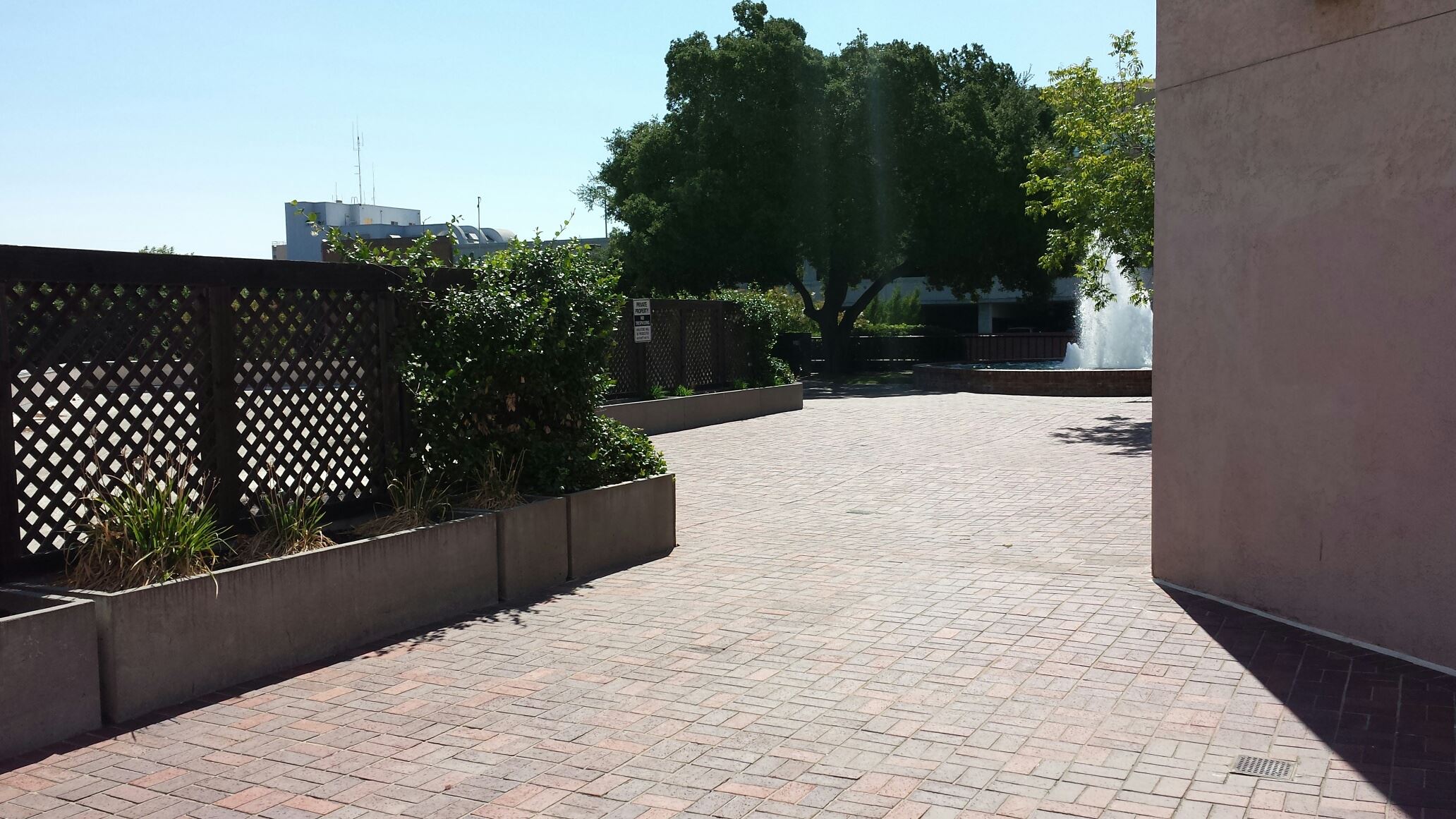 Mayor Lang - Rear View 2